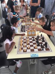 JTT-2018-28